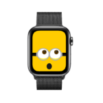 Apple Watch Series 6 44mm Display Reparatur